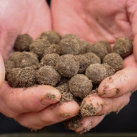 DNA Baits Insect Meal 1kg